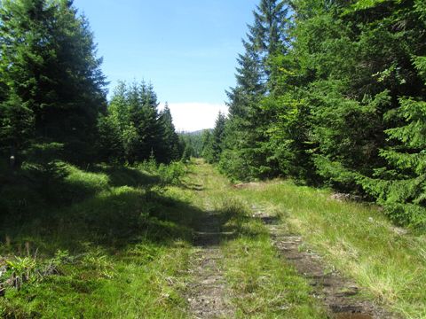 Foto 22